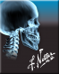 Icon: Netter's Concise Radiologic Anatomy (ModalityBody)